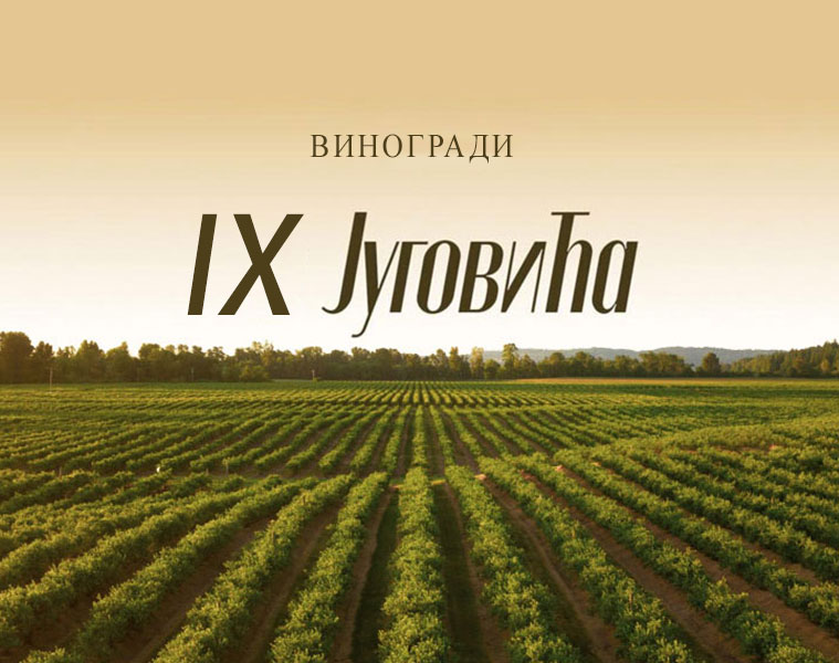 Vinogradi Devet Jugovica